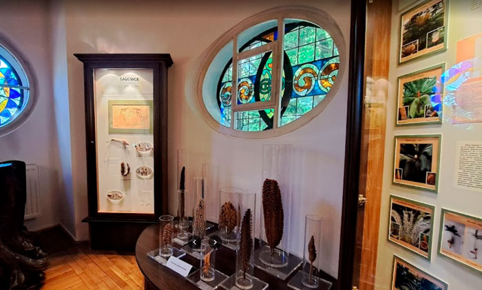 Muzeum Ogrodu Botanicznego