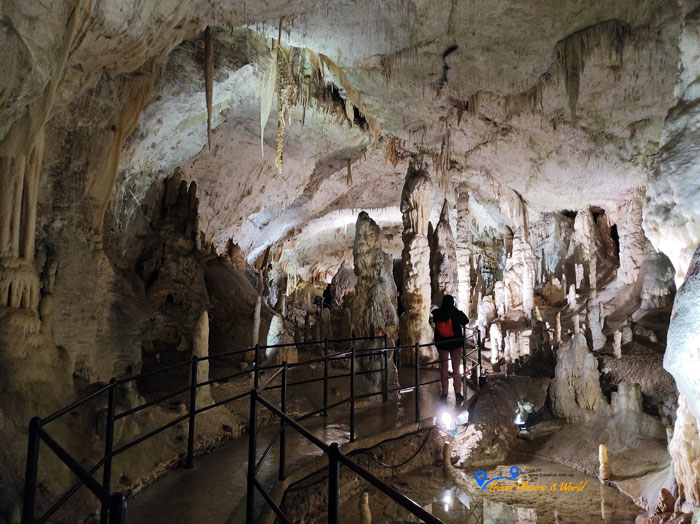 Постойнські яма (Postojnska jama)