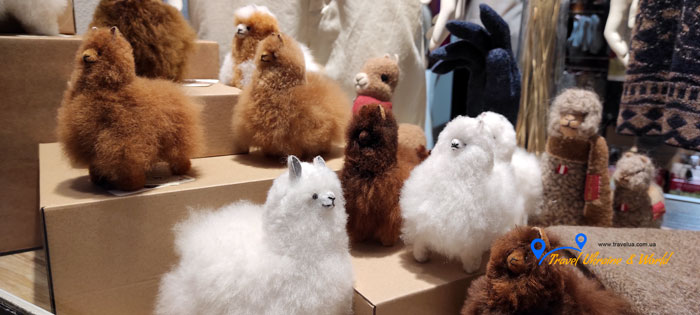 Швейцарія, Цюріх, що привести