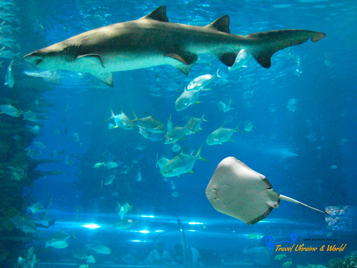 Будапешт, Угорщина (Budapest, Hungary)