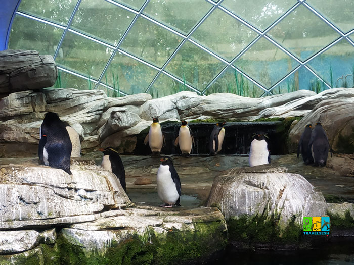 Berlin (Берлін)