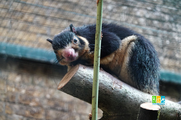 Leipzig, Germany (Лейпциг, Німеччина)