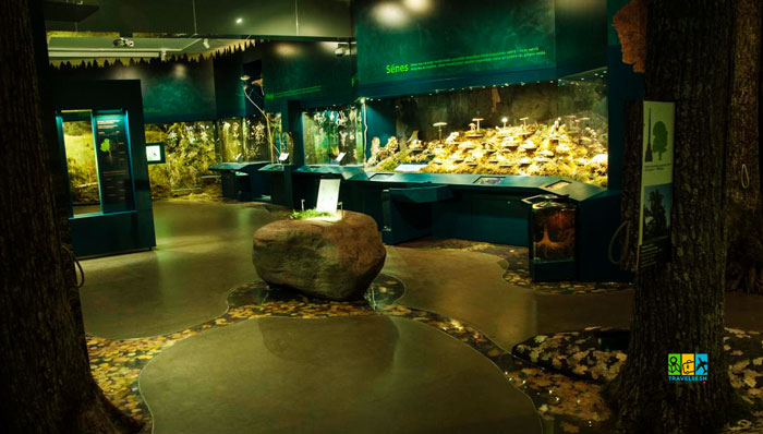 Latvia, Riga (Латвія, Рига)