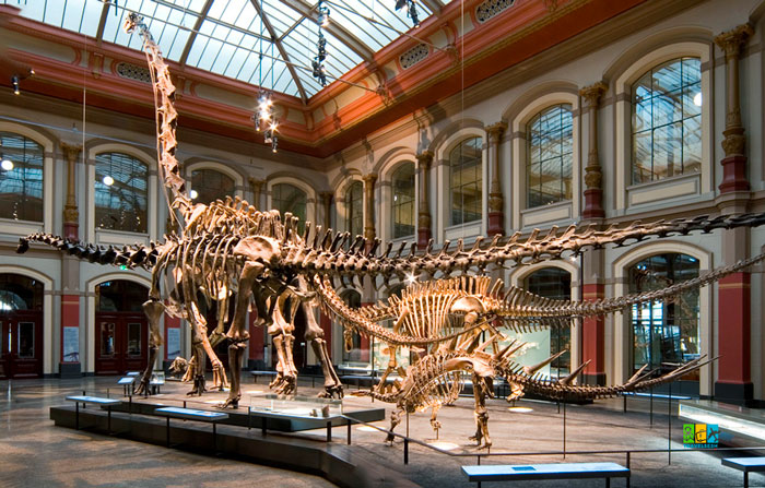 Berlin (Берлін)