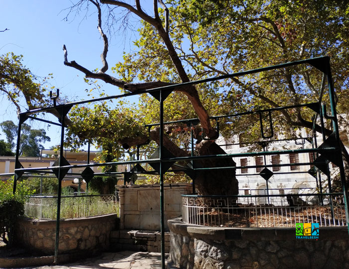 Kos, Greece (Кос, Греція)