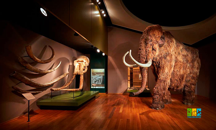 Basel, Switzerland (Базель, Швейцарія)