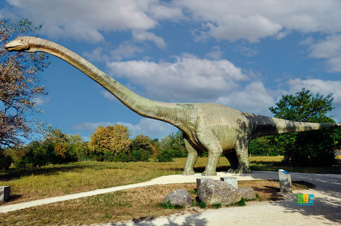 Basel, Switzerland (Базель, Швейцарія)