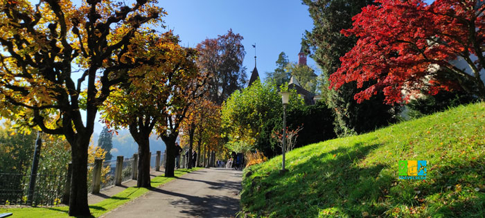 Switzerland, Lucerne (Швейцарія, Люцерн)