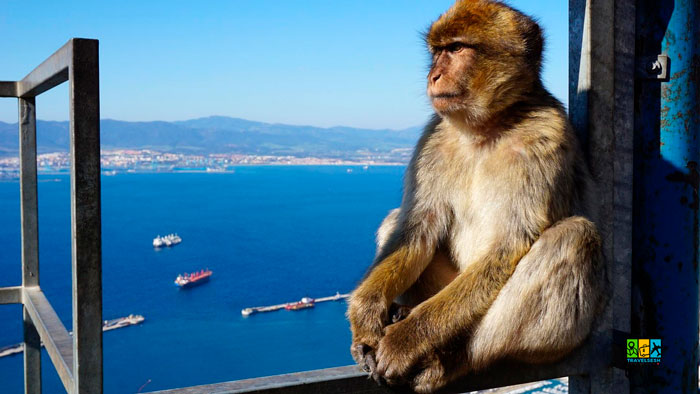 Gibraltar